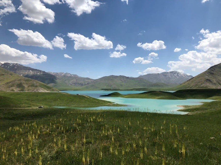 کوهنوردی و طبیعتگردی دکتر علی عباسی